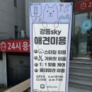 강동24시 SKY 동물의료센터 | 강동 고양이 미용 추천 강동sky 동물병원