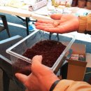 영농조합법인 조수리 농부의 아침 이미지