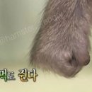아쎄 이미지