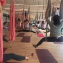 (주) 청담 JU YOGA&GYM 이미지