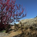 유수정농장 이미지