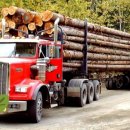 신포아이파크 공인중개사사무소 이미지