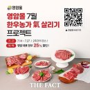 영암한우 - 광산구 | 영암한우