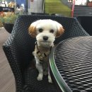 명일약국 이미지