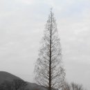 피지건설(주) Daum카페