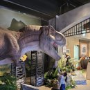 세화어린이집 | 수원 타임빌라스 맛집 내돈내산, 아기랑 공룡 식당 트라이아스