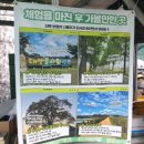 [창원애플수박체험]미니팜 창원 애플수박농장 체험후기 예약오픈 일정