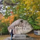 합천민박 | 은행나무 단풍길 따라 걷는 가을 명소, 경남 합천 해인사