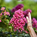 삼산교통공원 이미지