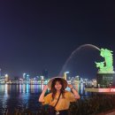 주식회사 코모즈 | 동남아 베트남 여행, 다낭 호이안에서 사용한 단기 여행자보험 후기!