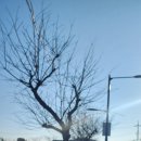 함덕초등학교선인분교장 이미지