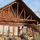 기린여행사(주) | 노홍철 사자 인증샷 논란 "약물 투여 의혹" 아프리카 여행사 저격글 확산