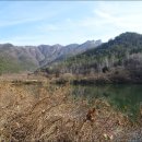 수산어시장