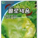 오크린 이미지