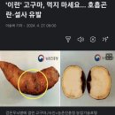 '이런' 고구마, 먹지 마세요… 호흡곤란·설사 유발 이미지