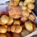 신맛그린 이미지