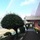 전남인터넷신문