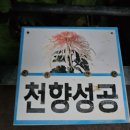 성광화방 - 종로구 종로54길 19 | 성광화방