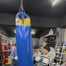 더 복싱(THE BOXING) 이미지