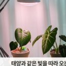 카브마인드 이미지