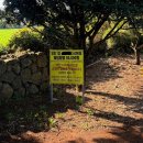 (주)토탈그린 | 제주 웨딩 스냅 드론 촬영 후기 | 무드케이 하이재이 드레스 메이크업 헬퍼