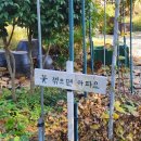 해뜨는봄봄 이미지