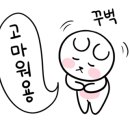 진상5일시장 이미지