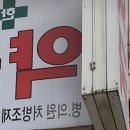 알룬정 구매 후기 부작용 가격 꼭보세요