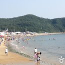 방포 Daum카페