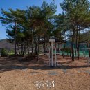 대암체육공원 운동시설 이미지