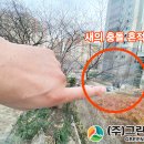 강북테니스장 이미지