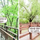 동춘목장 이미지