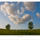 종일목장 이미지