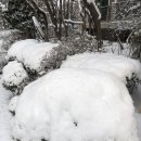 분당야탑3-A-6 이미지