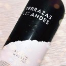 [레드와인/말벡] TERRAZAS DE LOS ANDES 2021