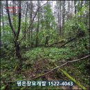 대한장묘개발 | “비와 땀으로 모신 철원 최전방 묘지개장ㅣ산속 700m를 걸어 모신 어머님 단장 1기