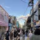 인형의 거리(말) 이미지