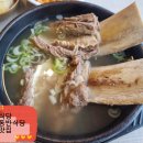 멋내는 강아지 | 경주보문단지식당 경주애견동반식당 서민식당 메뉴추천 주차꿀팁 내돈내산 솔직후기