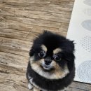 광산구-125 | 광주 광산구 신창동 마사지 추천 24시간 웰빙태국마사지