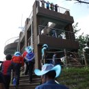 안뜰거북이마을 이미지