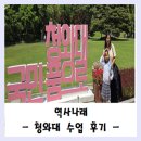 역사나래, 청와대 초등역사 수업 후기