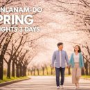 보성빌딩 | 전라도 봄 여행 2박3일, 구례·여수·보성 벚꽃 코스 총정리