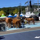 동해시-35 이미지