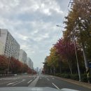 구  암 | 갑상선암 수술기 06 | 유두암 퇴원 후 현실 복귀와 수술 후 첫 외래 기록