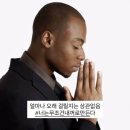 골드젬