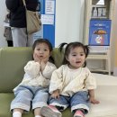 삽교태권도장 이미지