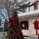 스탠스짐 | 올더어글리쿠키&amp;트레몽 스탠스커피_최애 쿠키집에서 최애 두바이 디저트 후기 / 상수 아인슈페너 추천