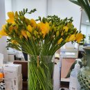 피부숨쉬다 이미지