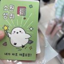 보민스킨