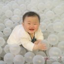 합정릴리펏 이미지